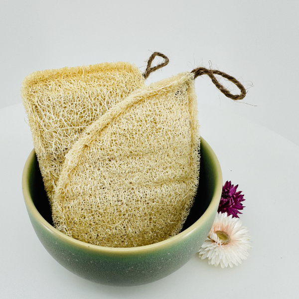 Oloofa Dish Sponge (Xơ Muớp Rửa Bát)