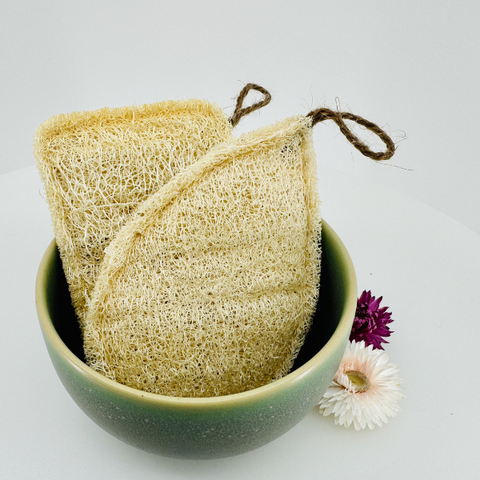 Oloofa Dish Sponge (Xơ Muớp Rửa Bát)