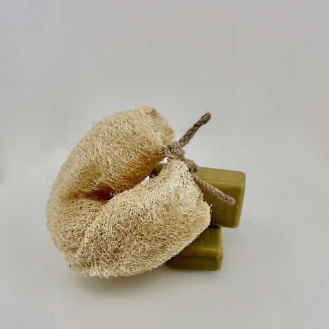 Oloofa Flex Sponge (Xơ Mướp Đa Năng)