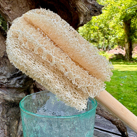 Oloofa Glass and Mug Cleaning Wand (Xơ Muớp Rửa Ly) Wholesale