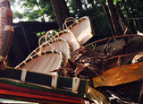 Jhoi Dustpan - Natural Shade Edition (Ki Hốt Rác Jhoi Tự Nhiên)